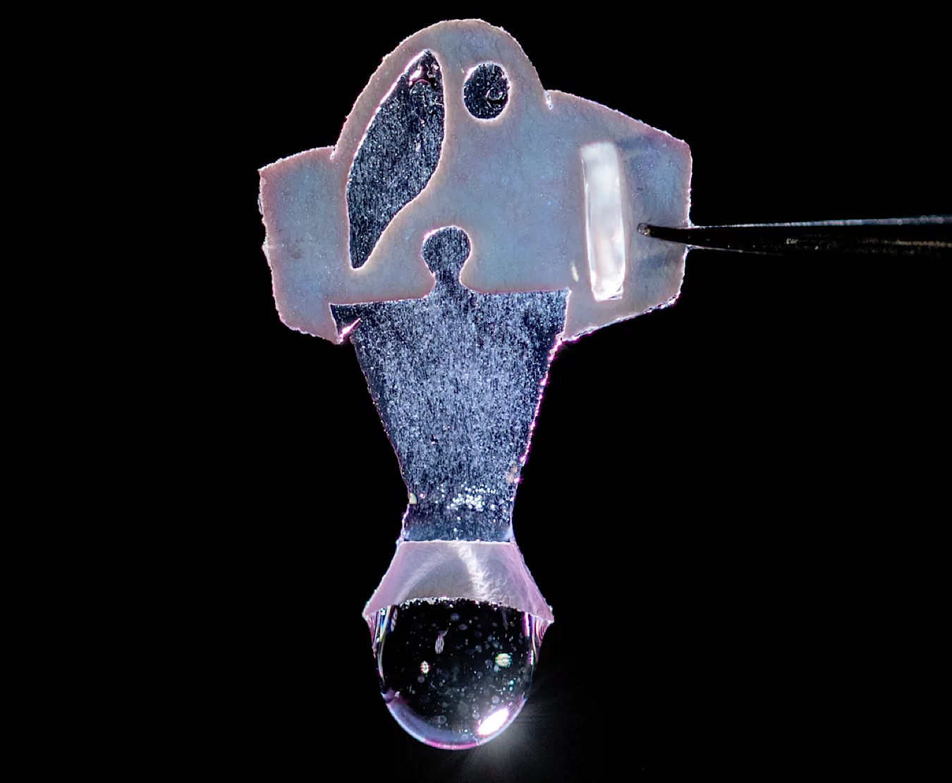 synthetic fish powered by human heart cells image by Michael Rosnach, Keel Yong Lee, Sung-Jin Park, Kevin Kit Parker
